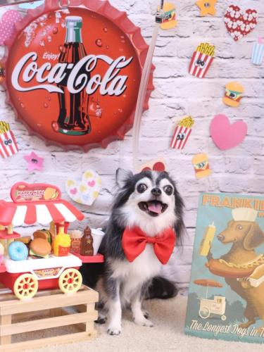 20230919ジンくん